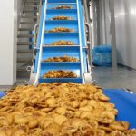 food conveyor belts