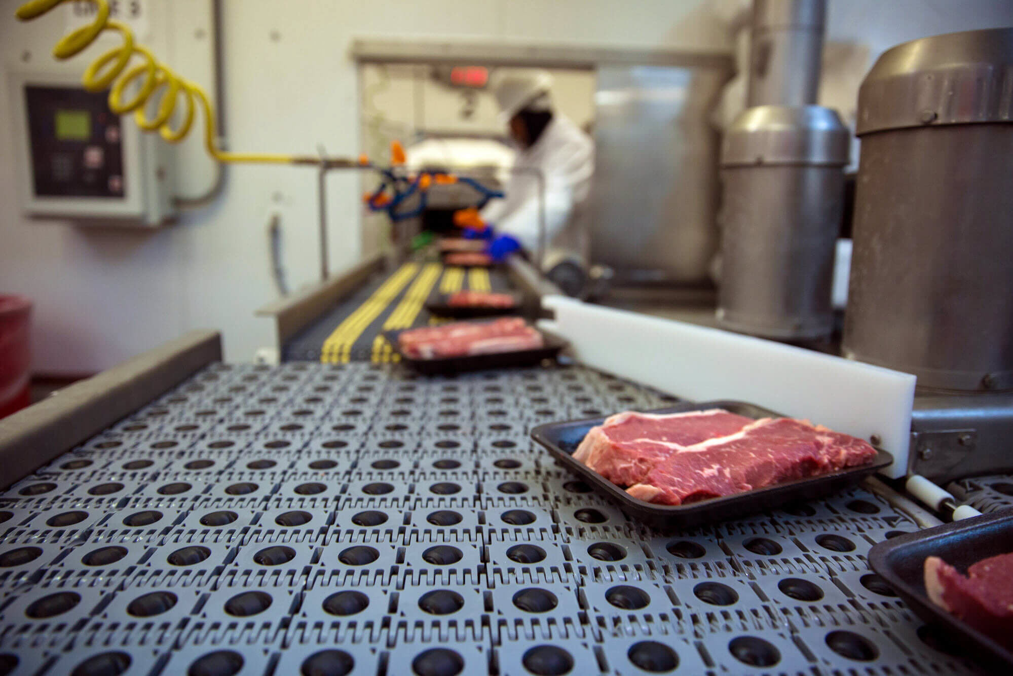 meat traveling on a conveyor belt efficiently